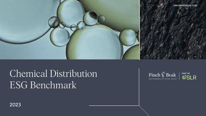Chemical Distribution Benchmark Ranking 2023.pdf